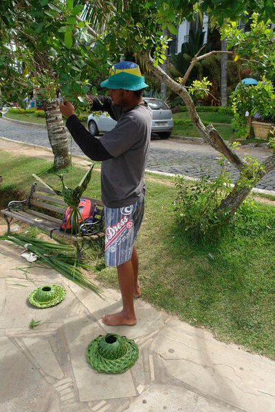 Шляпы Бразилии
