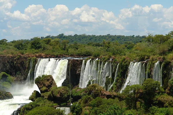 stock image Iguazu Falls