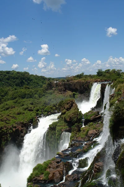 stock image Iguazu Falls