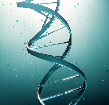 DNA strand iluustration - genetic research clipart