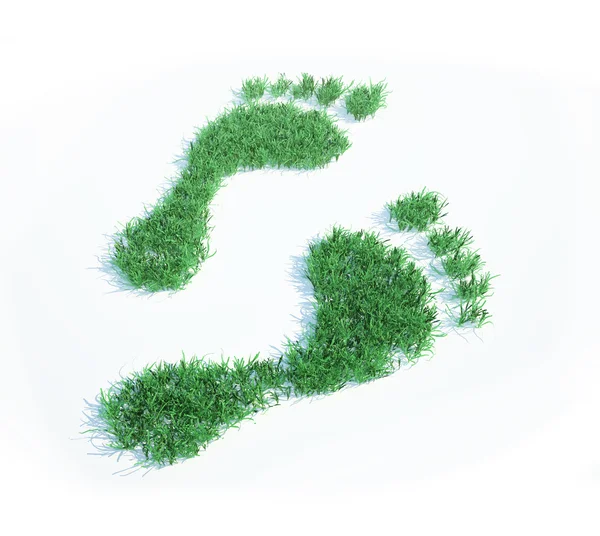 Ökologischer Fußabdruck — Stockfoto