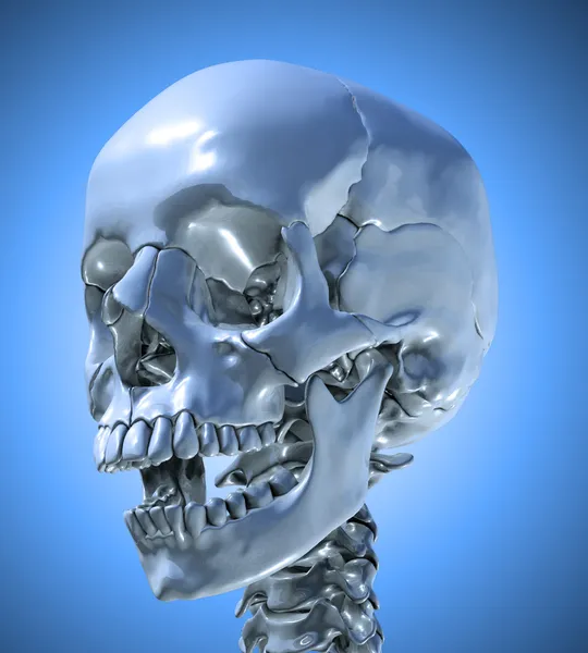 Crânio humano com uma mandíbula ligeiramente aberta — Fotografia de Stock