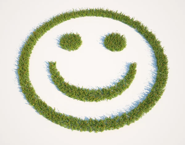 Veselý obličej tvaru trávy patch Royalty Free Stock Fotografie