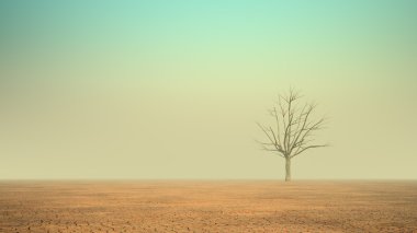 A lonely dead tree in a desert clipart