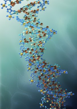 DNA strand clipart