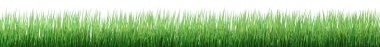 Very high resolution image of a green grass border image clipart