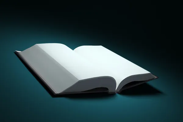 Nyitott könyv az üres oldalakat a reflektorfényben — Stock Fotó