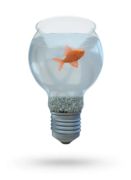 Лампочка с золотой рыбкой — стоковое фото