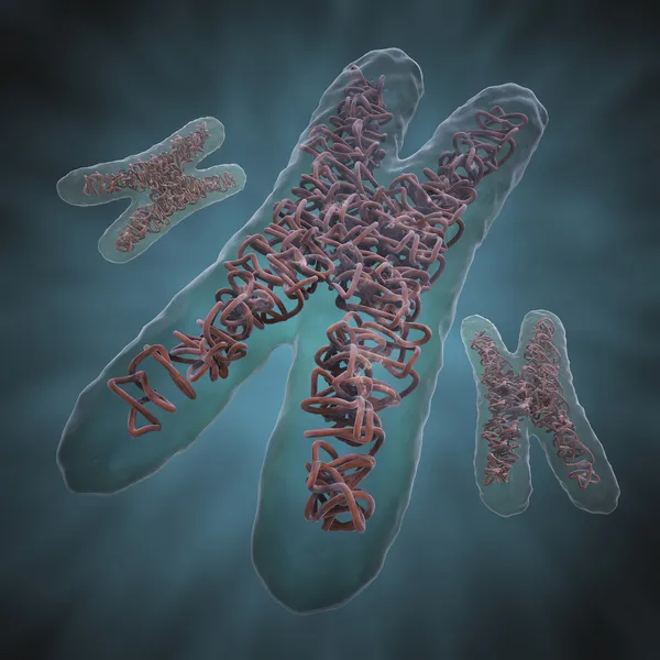 Chromosom x — Zdjęcie stockowe