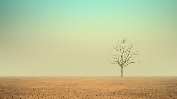 Un árbol muerto solitario en un desierto — Foto de Stock