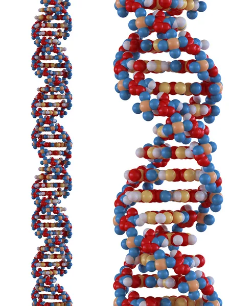 Immagine riprodotta di un filamento di DNA — Foto Stock