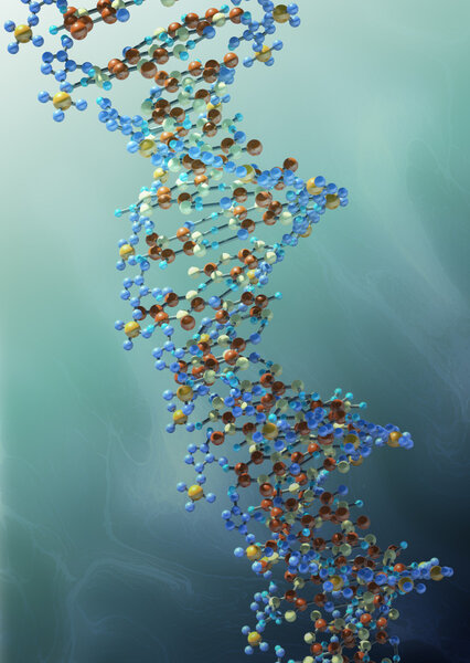 DNA strand