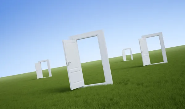 Bílé dveře v poli trávy — Stock fotografie