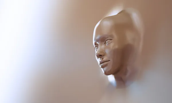 3D elvont illusztrációja egy fiatal nő arca — Stock Fotó