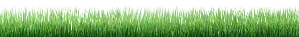 Sehr hochauflösendes Bild eines grünen Grasrandes — Stockfoto