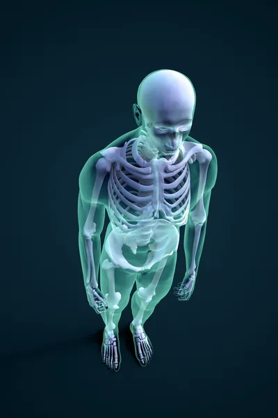 Rendering 3D di una figura maschile con struttura scheletrica visibile — Foto Stock