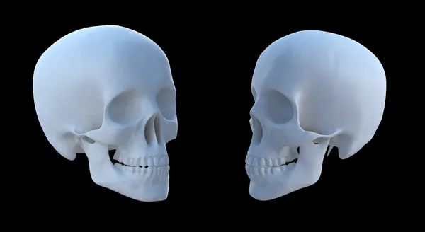 Två vyer av en mänsklig skalle isolerad på en svart bakgrund — Stockfoto