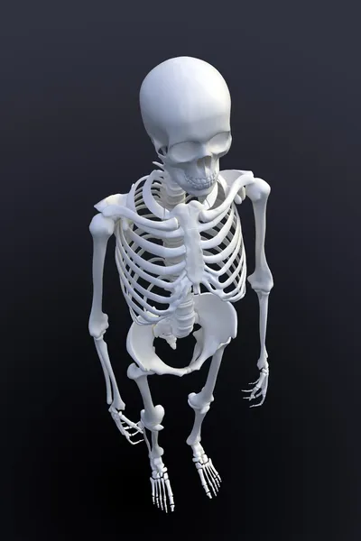 3D-rendering av ett mänskligt skelett - Visa från ovan — Stockfoto