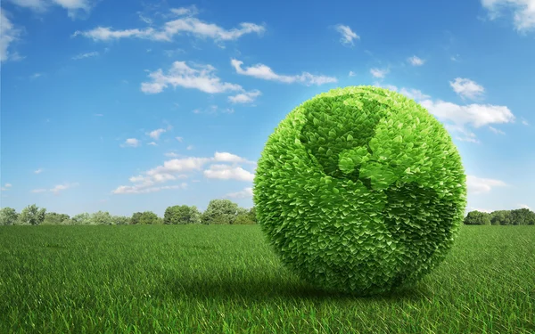 Leaf covered Earth on a green field of grass Stock Image