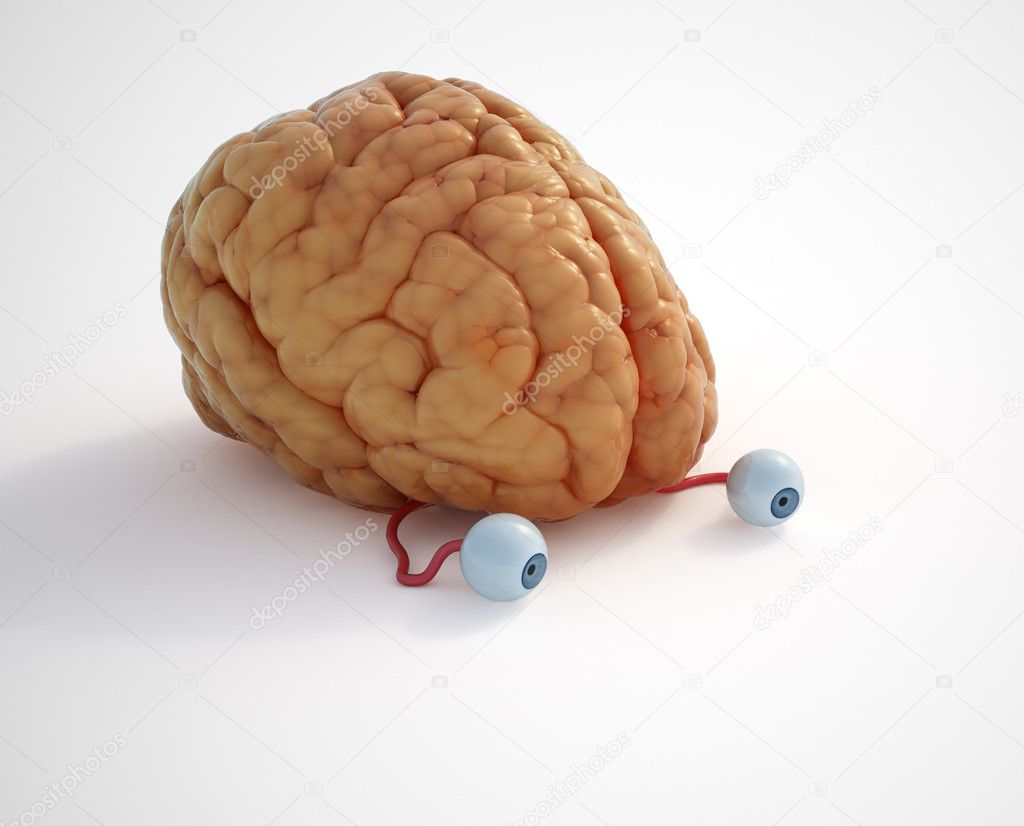 There's nothing to see .. it's just a brain.