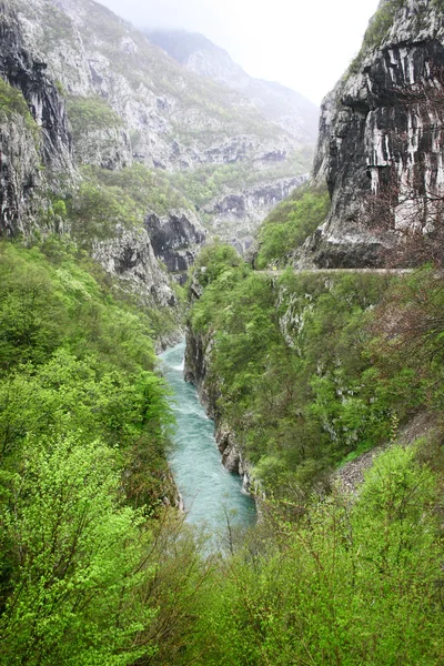 モンテネグロの川と山の風景 — ストック写真