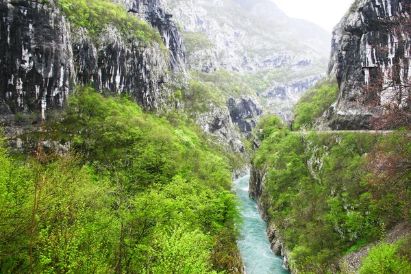 Горный пейзаж с рекой в Черногории — стоковое фото