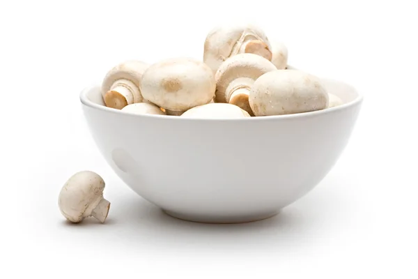 stock image Champignon in a bowl