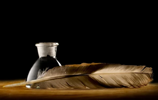 stock image A feather with the bottle full of ink