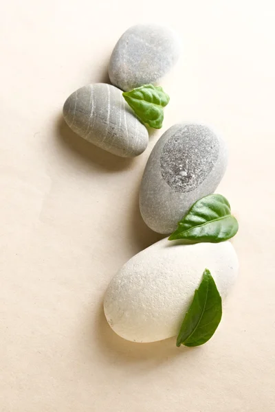 Kamienie i zielony liść — Zdjęcie stockowe