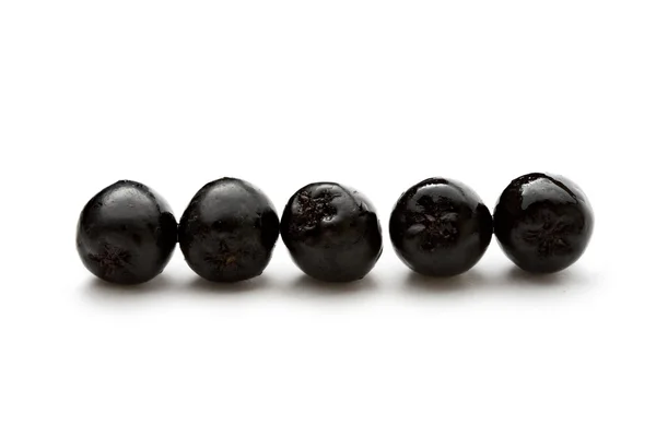 Černý černoplodá sušená — Stock fotografie