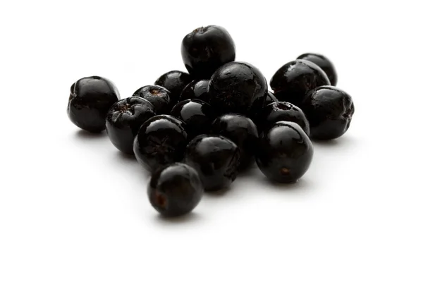 Black chokeberry — Stock Photo, Image