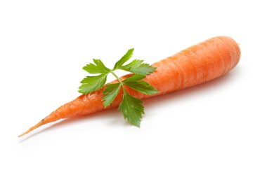 Carrot and parsley clipart