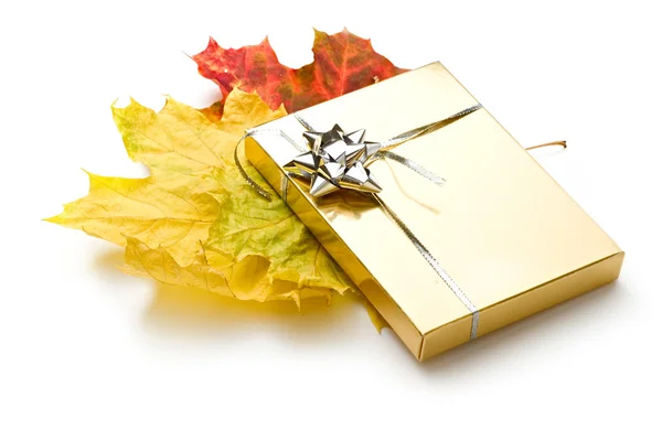 Gift on leaves — Stock Photo, Image