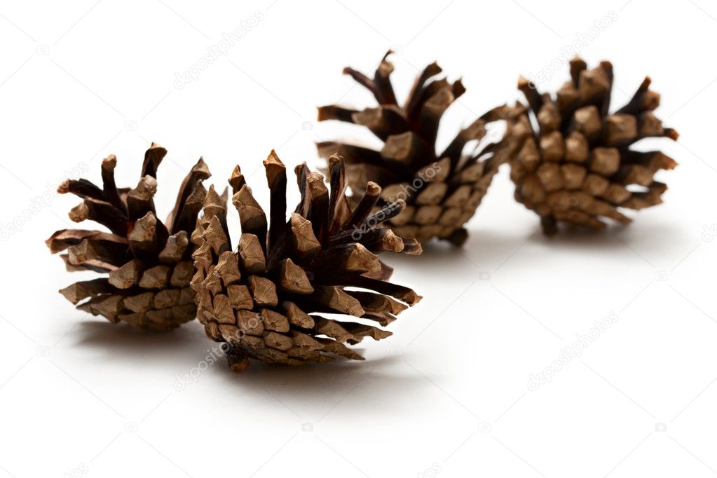 Cones on the white background