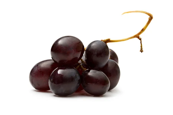Black grape — Stock Photo, Image