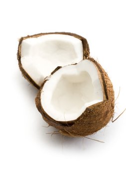 Coconut clipart