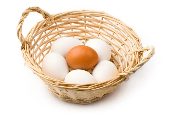 stock image Eggs in basket