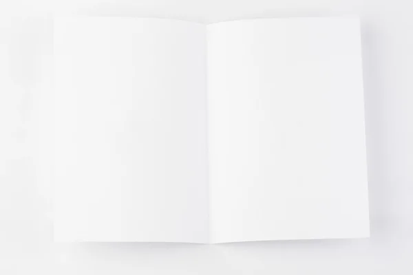 Folha isolada sobre branco — Fotografia de Stock