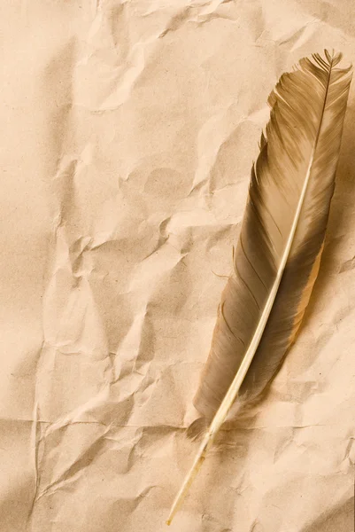 纸张背景上的羽毛 — 图库照片