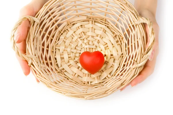 Hands and basket on white — Stock Photo, Image