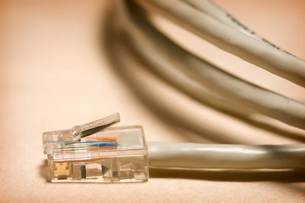 Ethernet kablosu — Stok fotoğraf