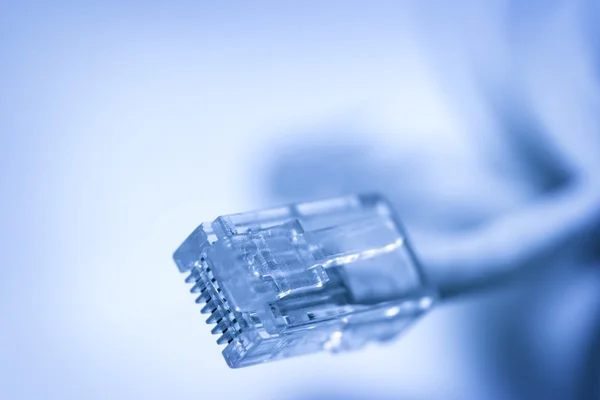 Cablu Ethernet — Fotografie, imagine de stoc
