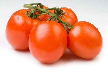 Daldaki domatesler