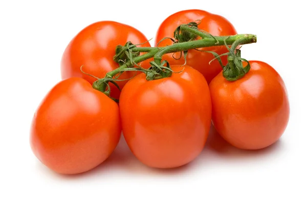 Tomates en la rama —  Fotos de Stock