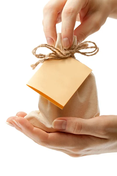 Sacco regalo con carta in mani femminili — Foto Stock
