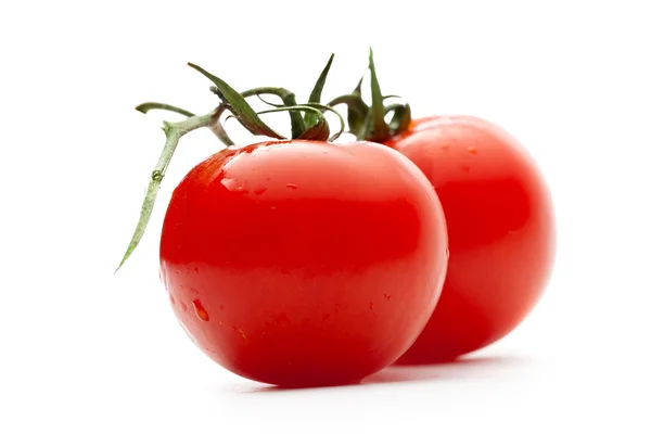熟的西红柿的分支 — 图库照片