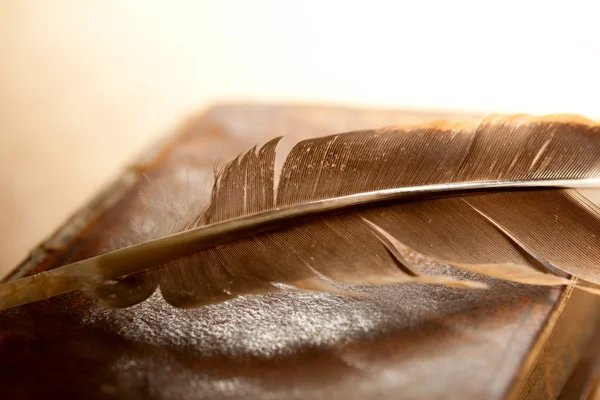 Piuma e vecchio libro — Foto Stock