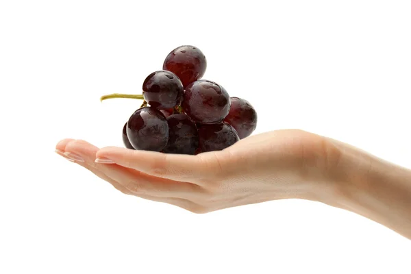 stock image Female hand with some grapes