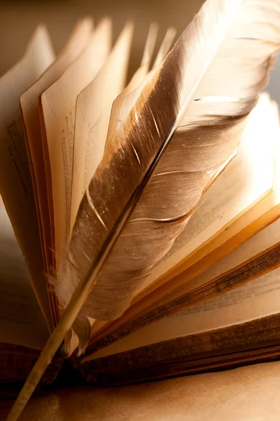 Перо и старая открытая книга — стоковое фото