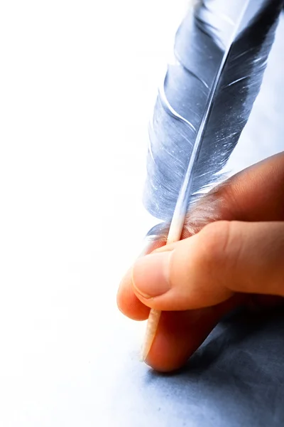 stock image Feather in the male hand